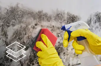 Küf temizleme hizmetleri