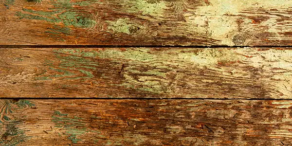 Example of wood rot damage