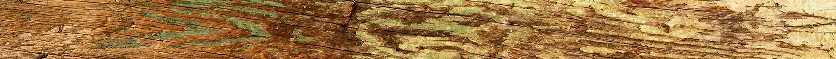  wood rot repair