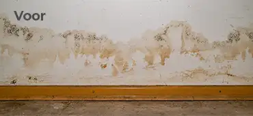 Muur schade door optrekkend vocht