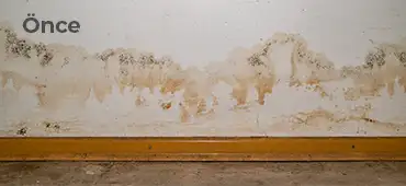 Yükselen nem kaynaklı duvar hasarı