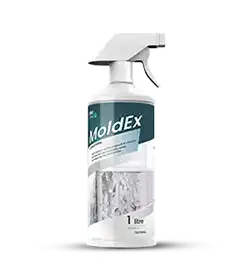 mold remover spray