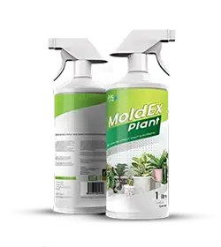 plant fungus protection