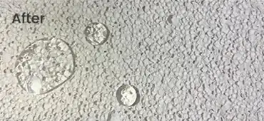 building protection coating