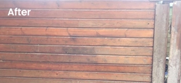 sustainable surface cleaner