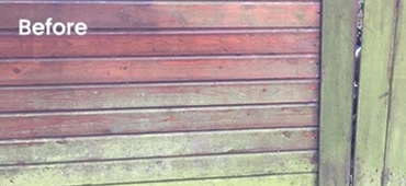 algae cleaner for surfaces