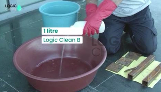 bio-based oxidation remover