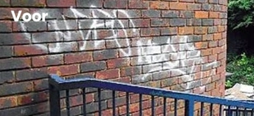 bio-gebaseerde graffitireiniger
