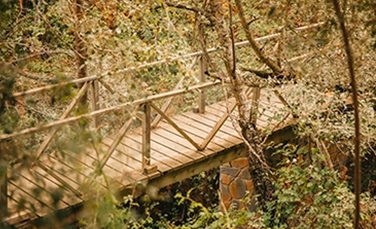 weatherproof wood coating
