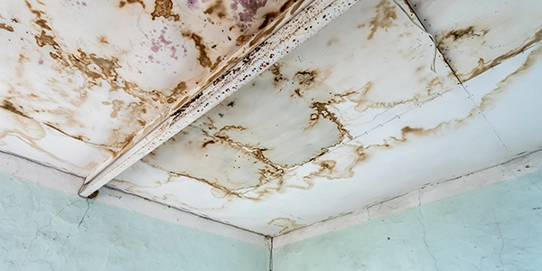 What is the safest way to clean mold from bathroom grout?