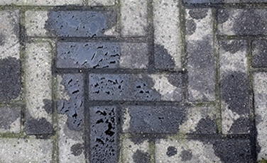paving stone oil stain remover