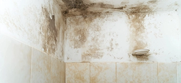 Long-lasting mildew prevention spray