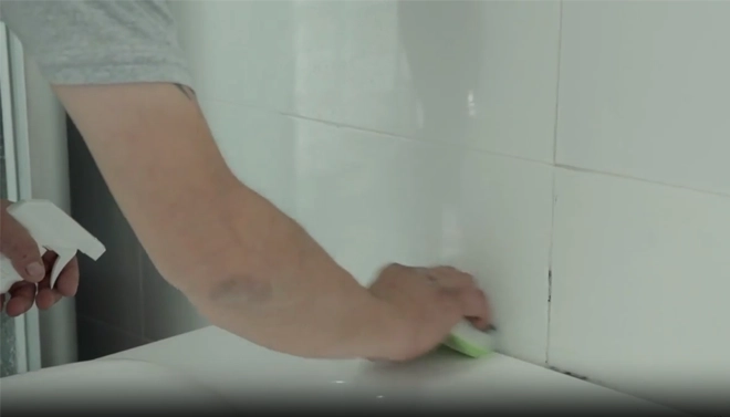 bathroom mold remover
