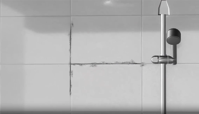 tile grout mold cleaner