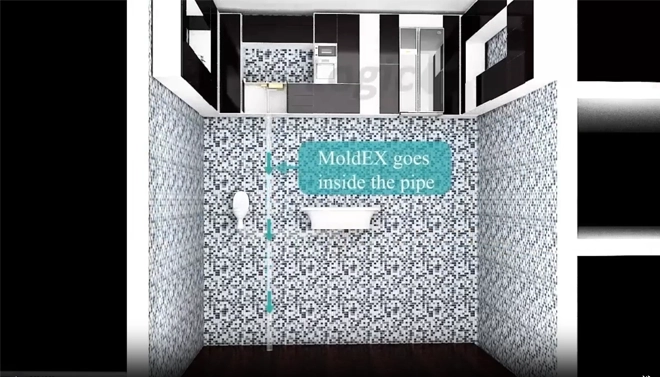 sewer pipe mold treatment