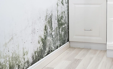 Kitchen Surfaces – Hygienic & Mold-Free