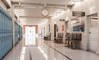 safe mold spray for schools