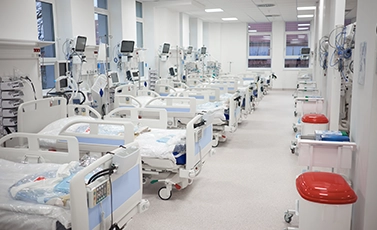 hospital-grade mold disinfectant