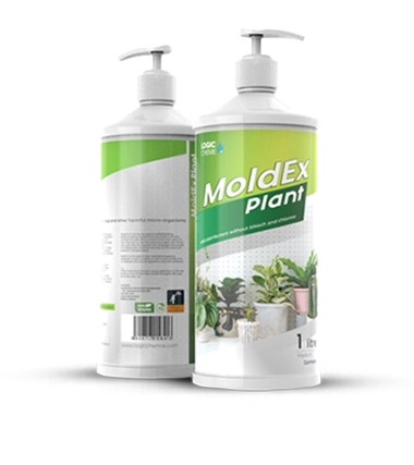 Bio-based plant disinfectant
