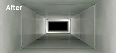 Eco-friendly mold cleaner for ducts