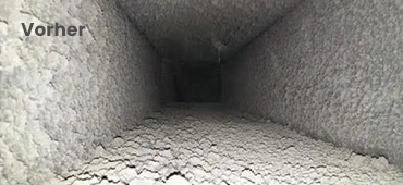 Chlorfreies Anti-Schimmel-Spray