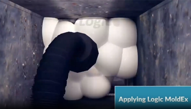 ventilation mold remover