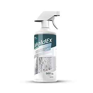 best anti fungal spray for walls