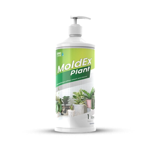 sterilizing plant pots