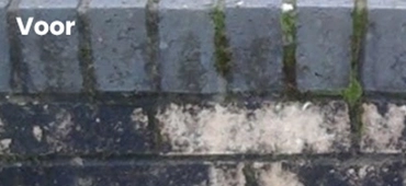 bio-gebaseerde industriereiniger