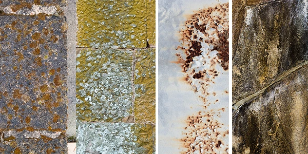 beste Methode zur Fleckenentfernung auf Beton