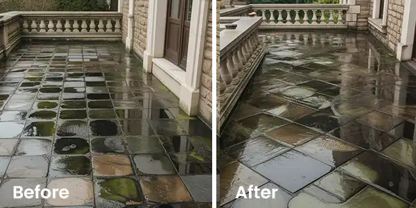 restored stone terrace after removing mold and algae with Logic Clean A; how to prevent algae on stone?